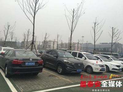 泰安春節期間生態停車場暖心服務獲游客點贊